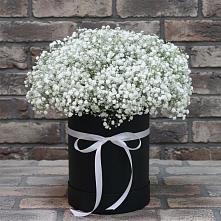 Цветочная композиция из Гипсофила в шляпной коробке #REPLACE_PRED# Русском