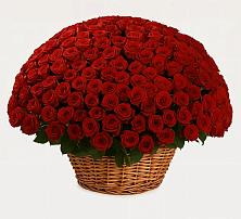 Премиум букет из: Розы в Русском